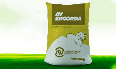 AV ENGORDA